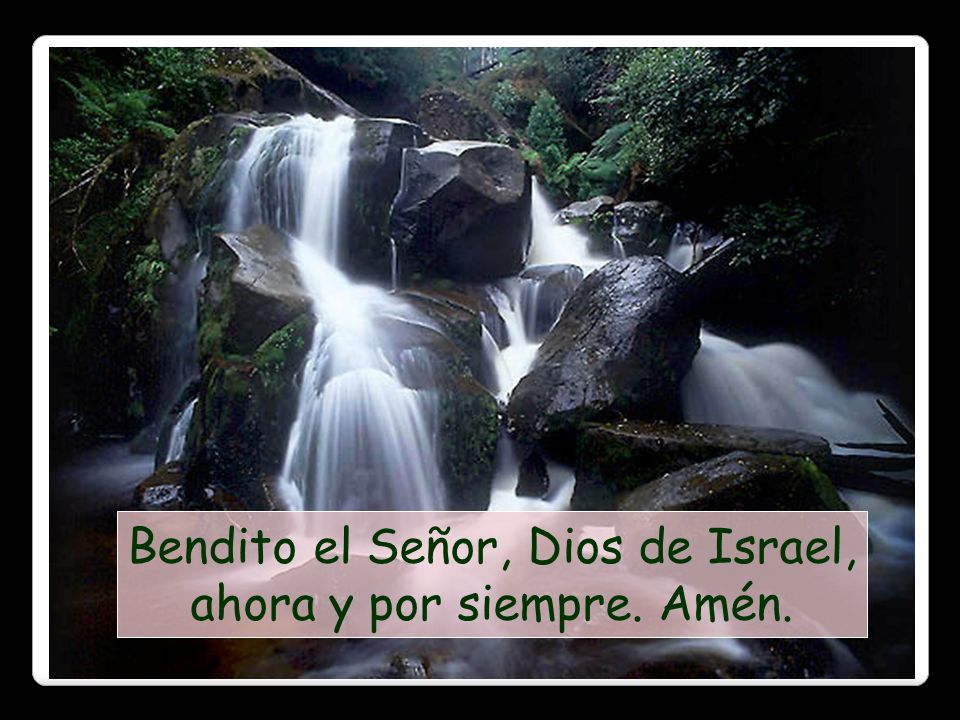 Bendito el Señor, Dios de Israel, ahora y por siempre. Amén.