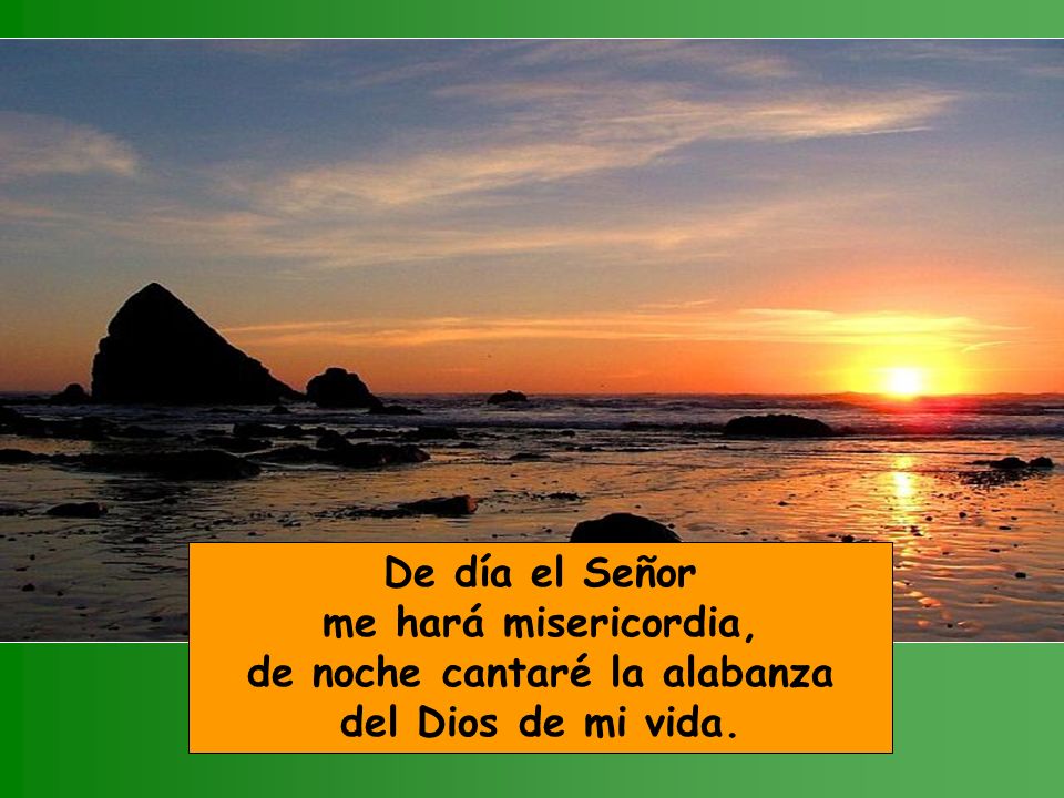 De día el Señor me hará misericordia, de noche cantaré la alabanza del Dios de mi vida.
