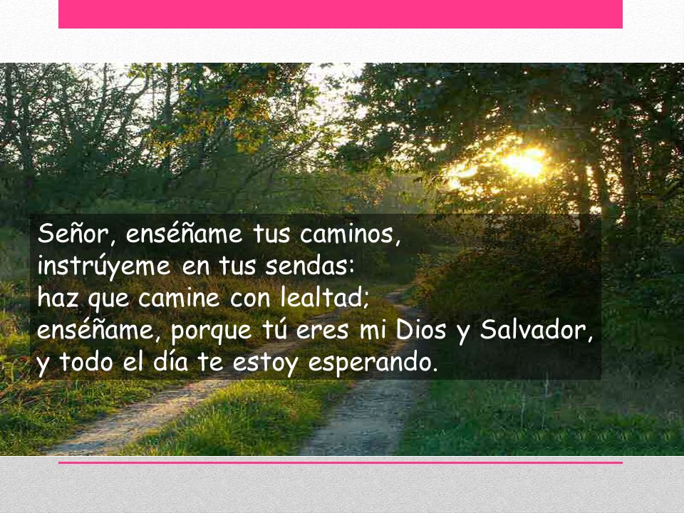 Señor, enséñame tus caminos, instrúyeme en tus sendas: haz que camine con lealtad; enséñame, porque tú eres mi Dios y Salvador, y todo el día te estoy esperando.