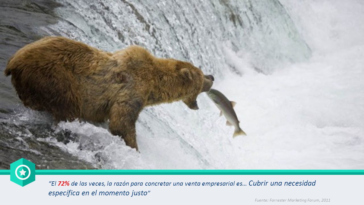 El 72% de las veces, la razón para concretar una venta empresarial es… Cubrir una necesidad específica en el momento justo