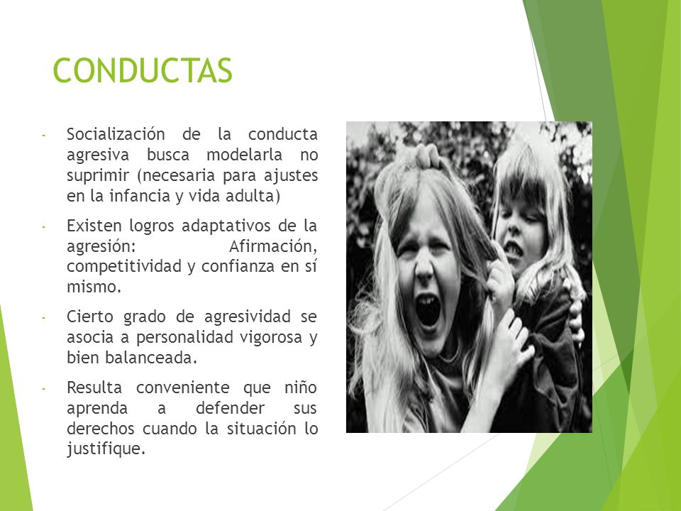 CONDUCTAS Socialización de la conducta agresiva busca modelarla no suprimir (necesaria para ajustes en la infancia y vida adulta)
