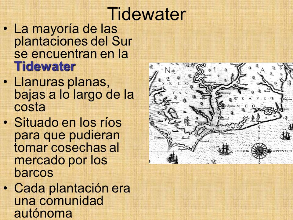 Tidewater La mayoría de las plantaciones del Sur se encuentran en la Tidewater. Llanuras planas, bajas a lo largo de la costa.
