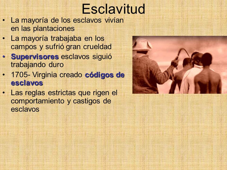 Esclavitud La mayoría de los esclavos vivían en las plantaciones