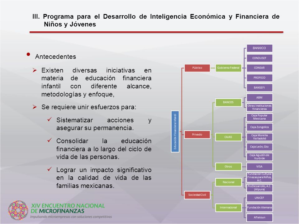 III. Programa para el Desarrollo de Inteligencia Económica y Financiera de Niños y Jóvenes