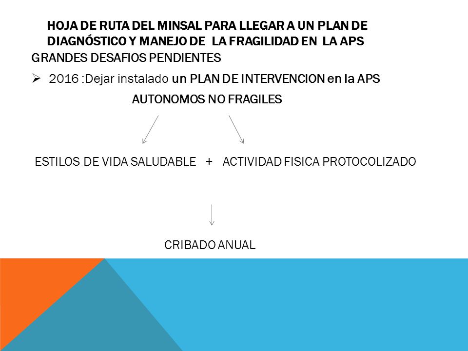 HOJA DE RUTA DEL MINSAL PARA LLEGAR A UN PLAN DE DIAGNÓSTICO Y MANEJO DE LA FRAGILIDAD EN LA APS