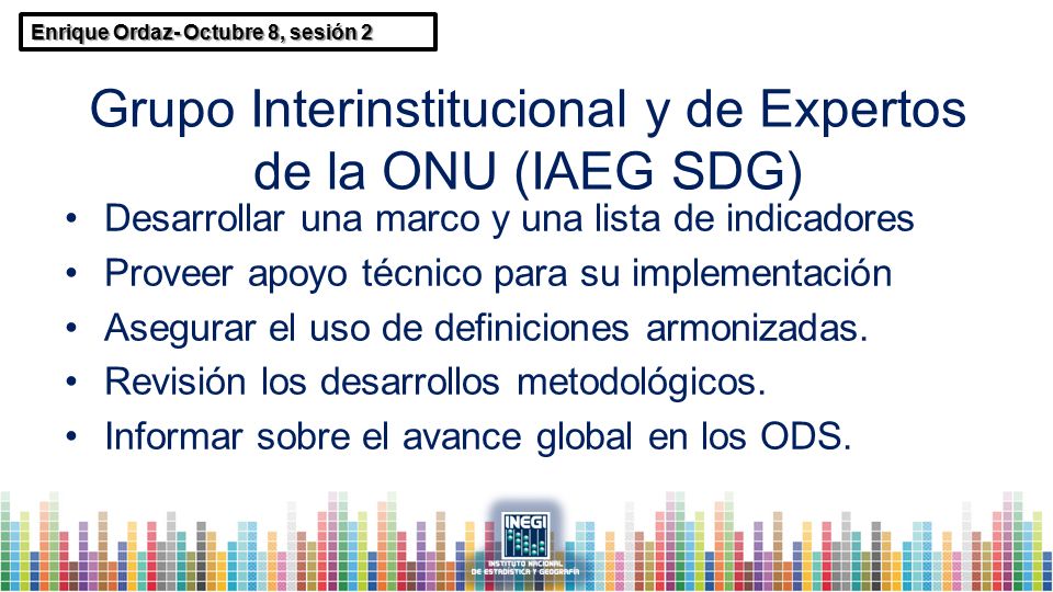 Grupo Interinstitucional y de Expertos de la ONU (IAEG SDG)