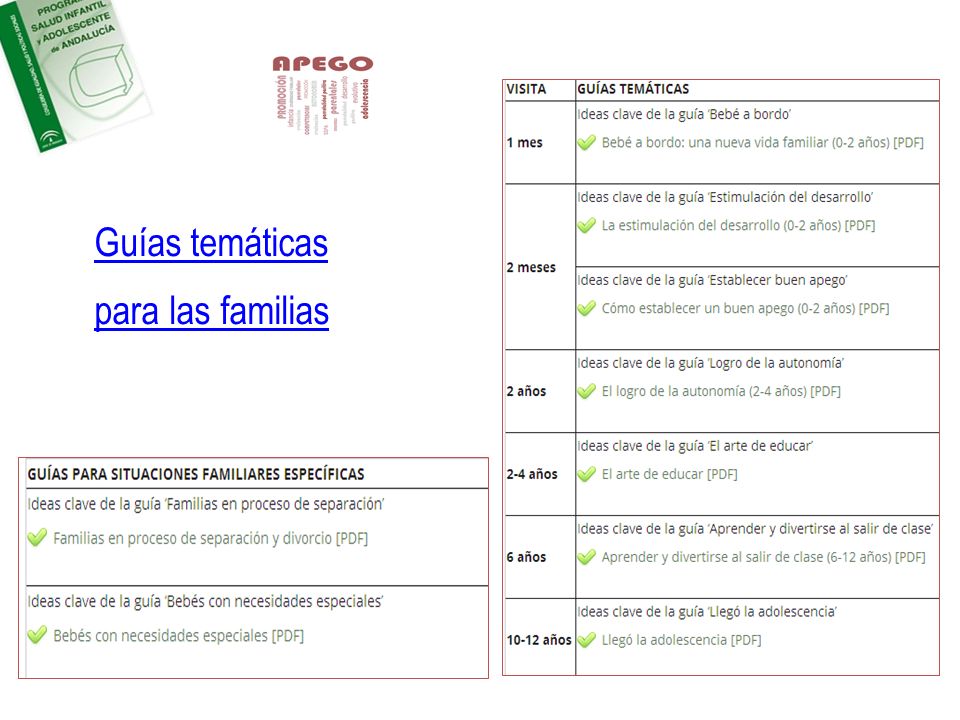 Guías temáticas para las familias