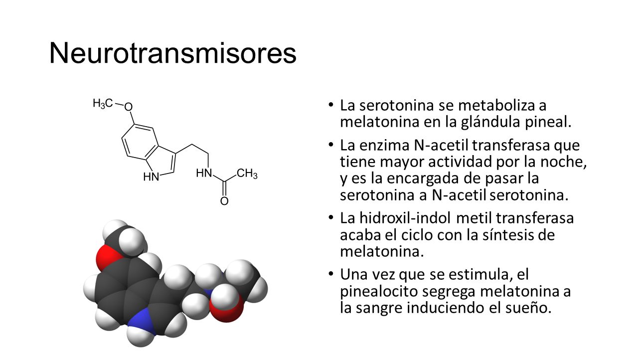 Neurotransmisores La serotonina se metaboliza a melatonina en la glándula pineal.