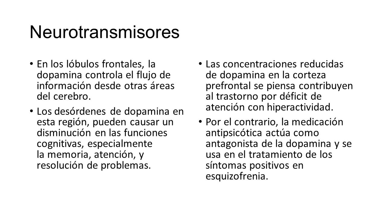 Neurotransmisores En los lóbulos frontales, la dopamina controla el flujo de información desde otras áreas del cerebro.