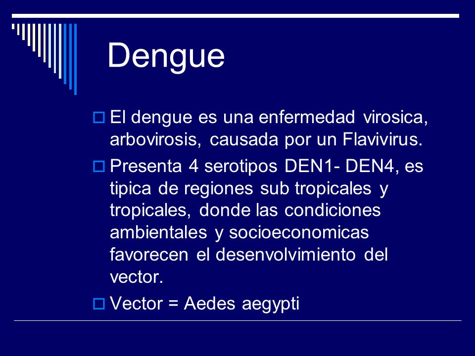 Dengue El dengue es una enfermedad virosica, arbovirosis, causada por un Flavivirus.