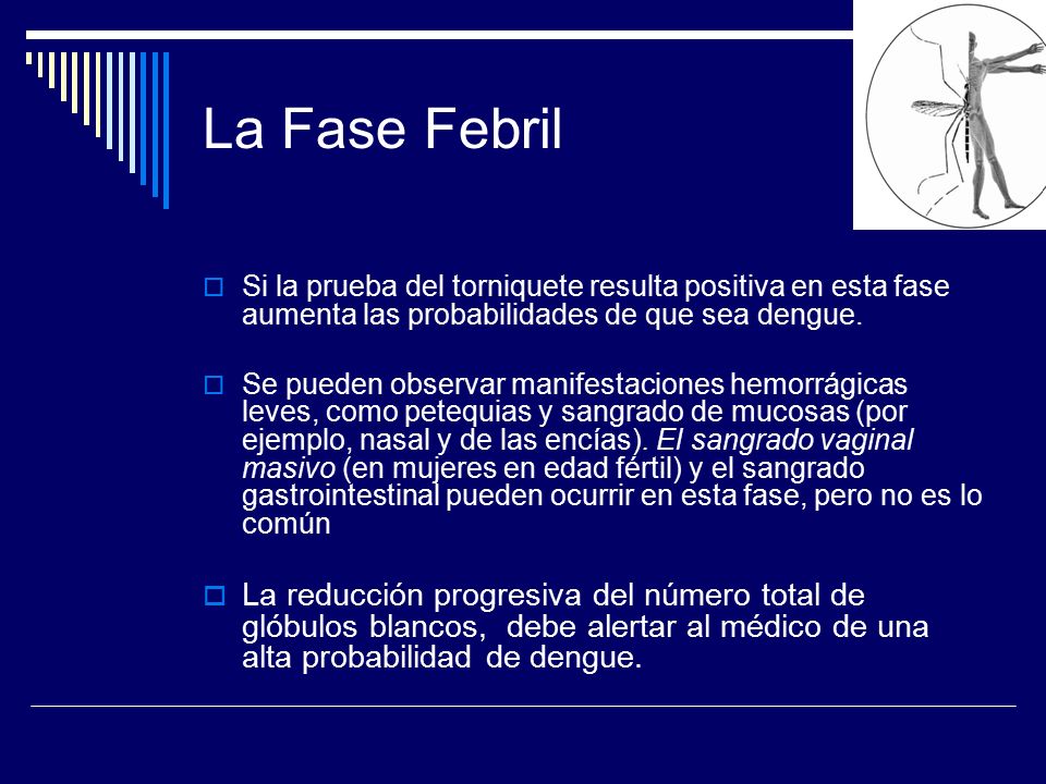 La Fase Febril Si la prueba del torniquete resulta positiva en esta fase aumenta las probabilidades de que sea dengue.