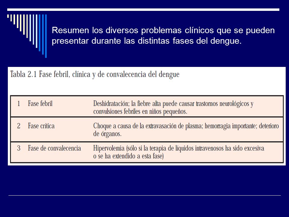 Resumen los diversos problemas clínicos que se pueden presentar durante las distintas fases del dengue.