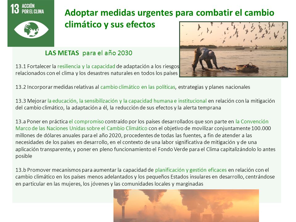 Adoptar medidas urgentes para combatir el cambio climático y sus efectos
