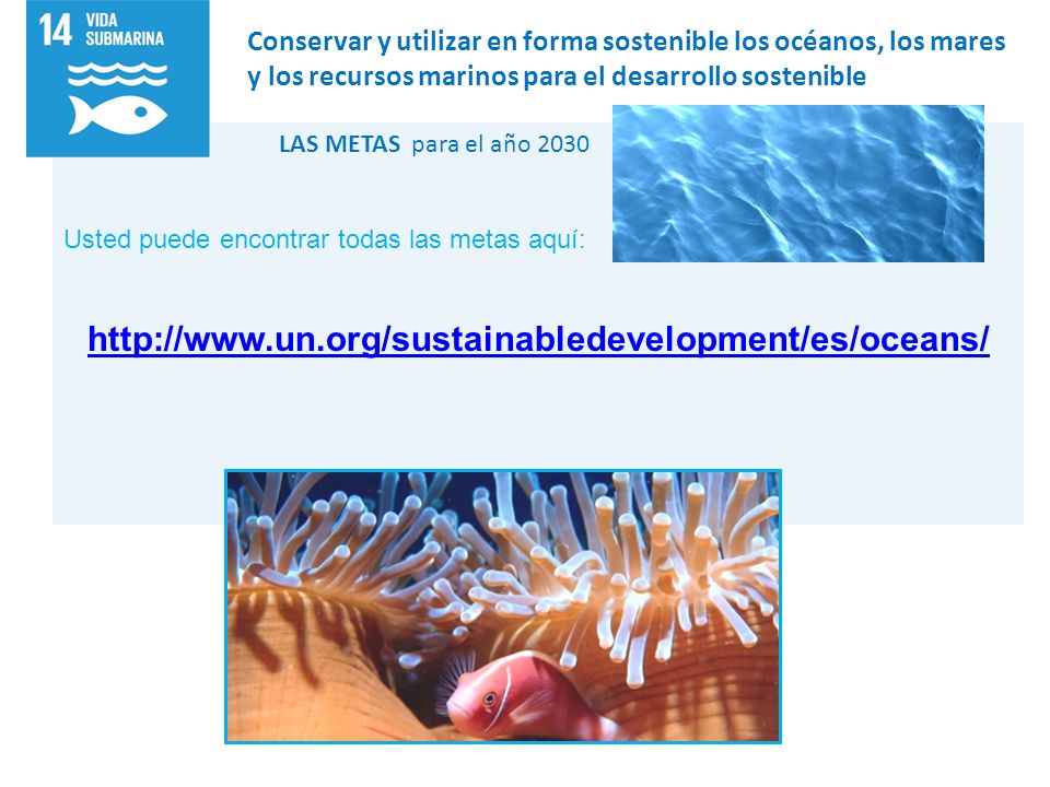 Conservar y utilizar en forma sostenible los océanos, los mares y los recursos marinos para el desarrollo sostenible