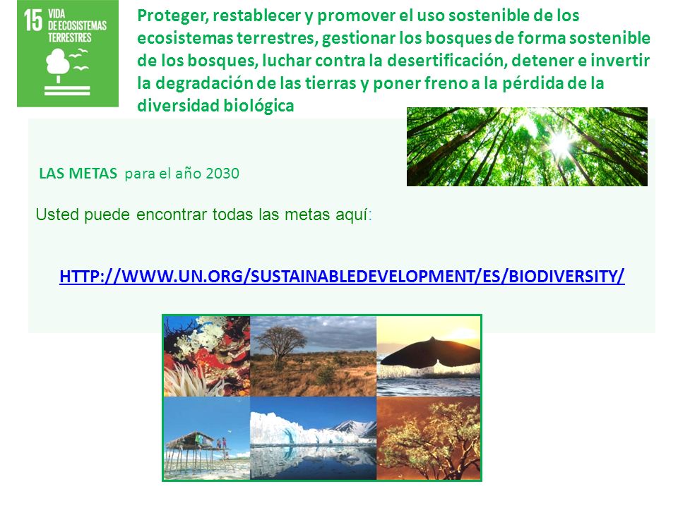 Proteger, restablecer y promover el uso sostenible de los ecosistemas terrestres, gestionar los bosques de forma sostenible de los bosques, luchar contra la desertificación, detener e invertir la degradación de las tierras y poner freno a la pérdida de la diversidad biológica