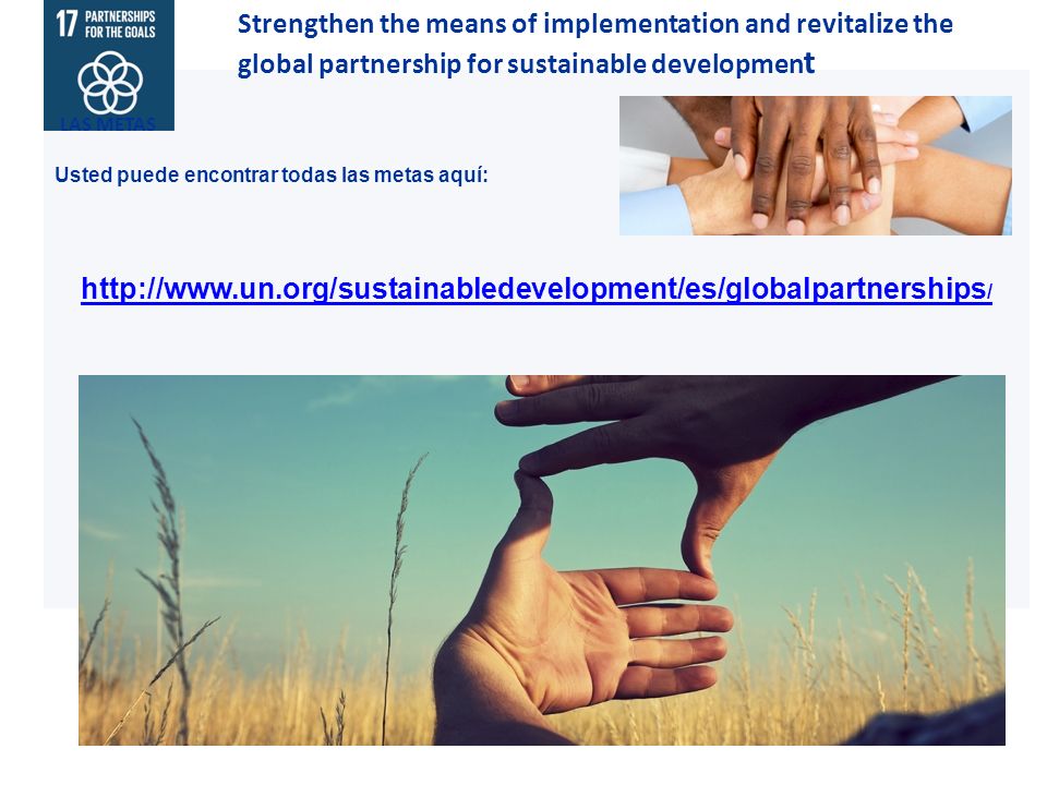 Strengthen the means of implementation and revitalize the global partnership for sustainable development