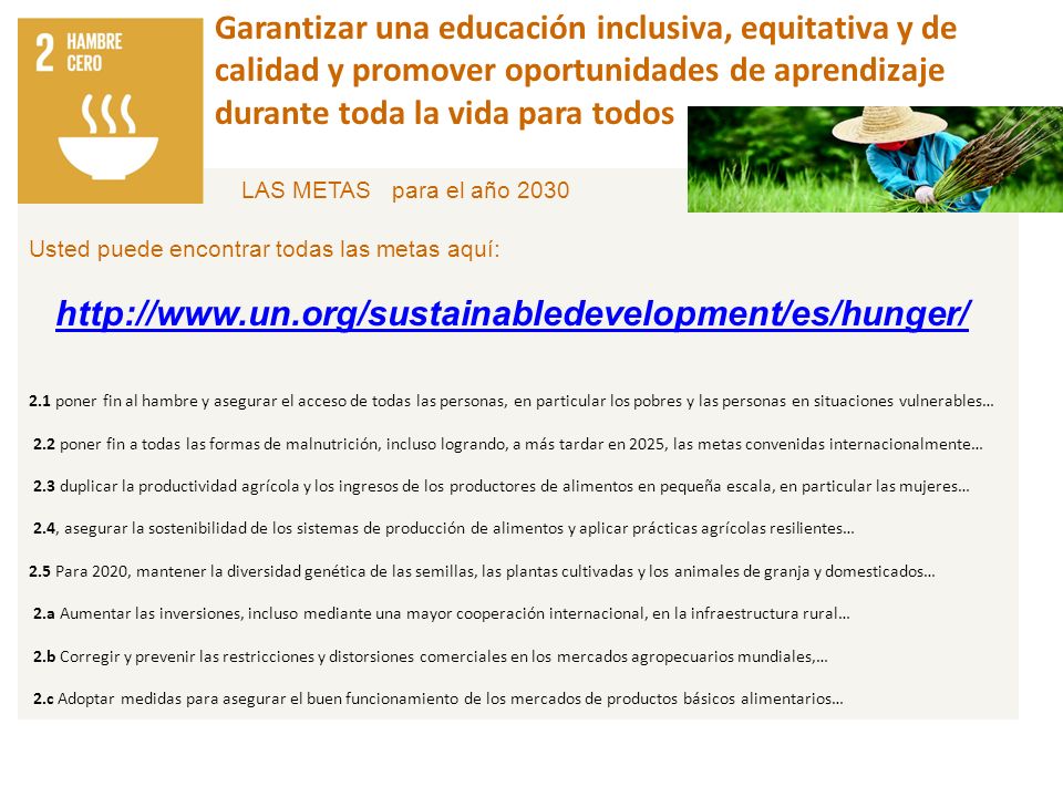 Garantizar una educación inclusiva, equitativa y de calidad y promover oportunidades de aprendizaje durante toda la vida para todos