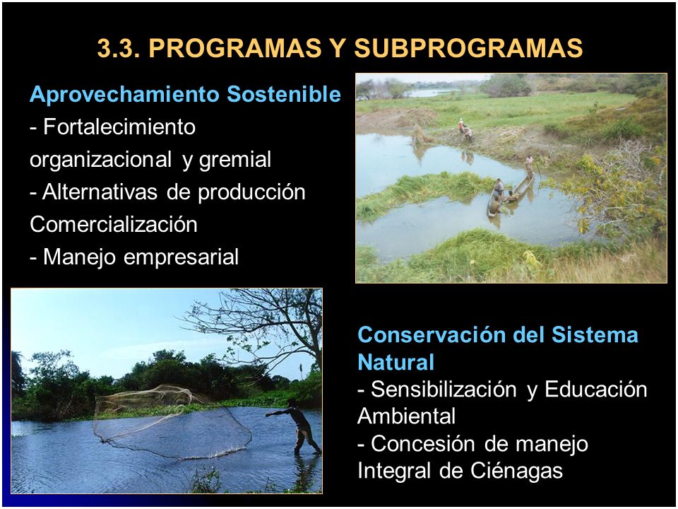 3.3. PROGRAMAS Y SUBPROGRAMAS