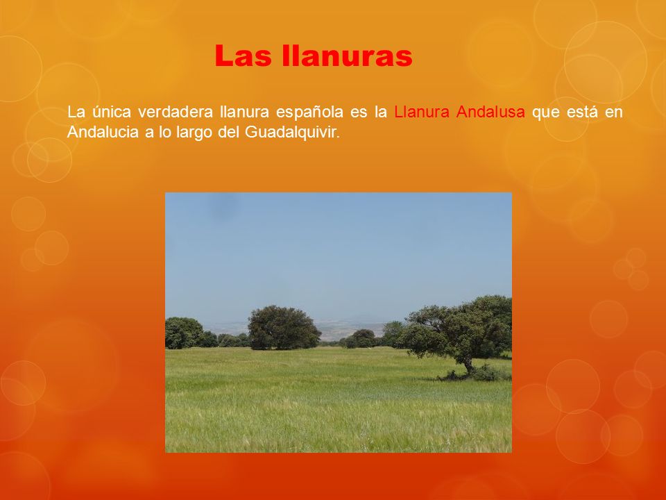 Las llanuras La única verdadera llanura española es la Llanura Andalusa que está en Andalucia a lo largo del Guadalquivir.