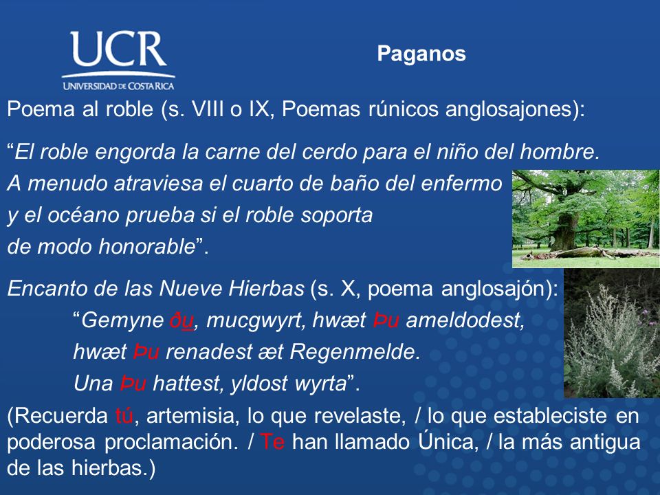Paganos Poema al roble (s. VIII o IX, Poemas rúnicos anglosajones): El roble engorda la carne del cerdo para el niño del hombre.