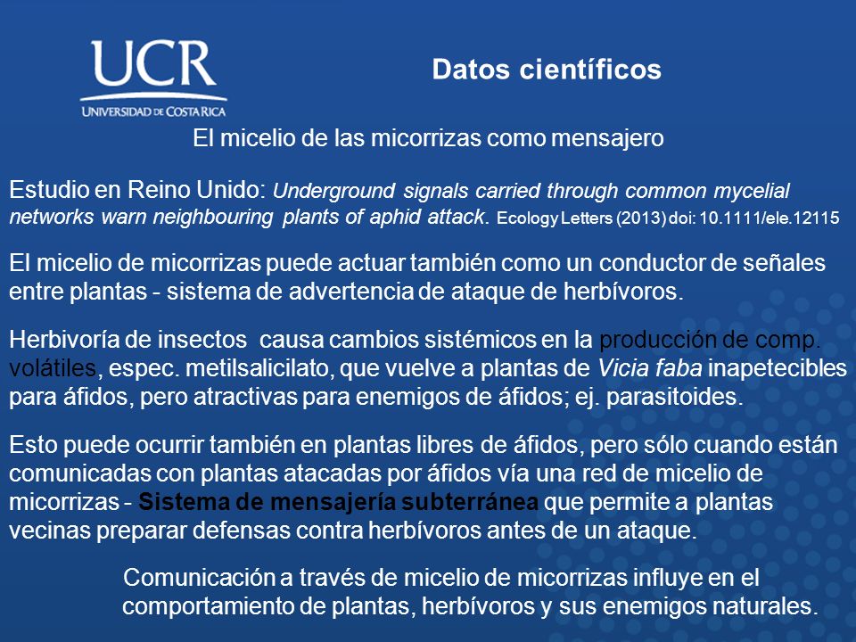 El micelio de las micorrizas como mensajero