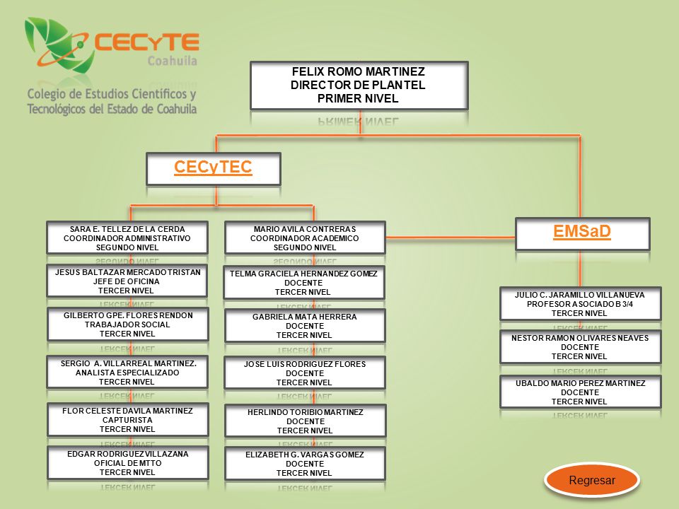 CECyTEC EMSaD FELIX ROMO MARTINEZ DIRECTOR DE PLANTEL PRIMER NIVEL