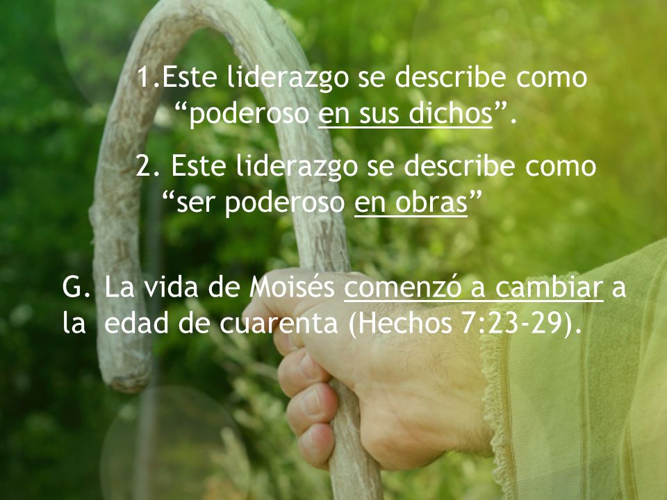 Este liderazgo se describe como poderoso en sus dichos .
