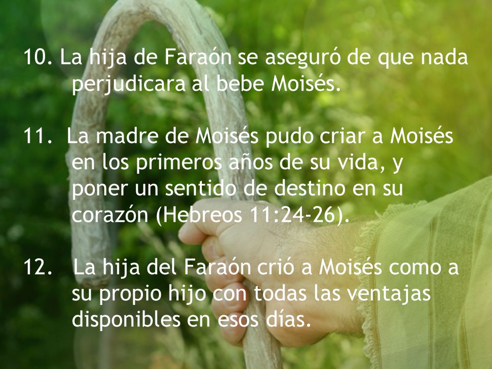 10. La hija de Faraón se aseguró de que nada