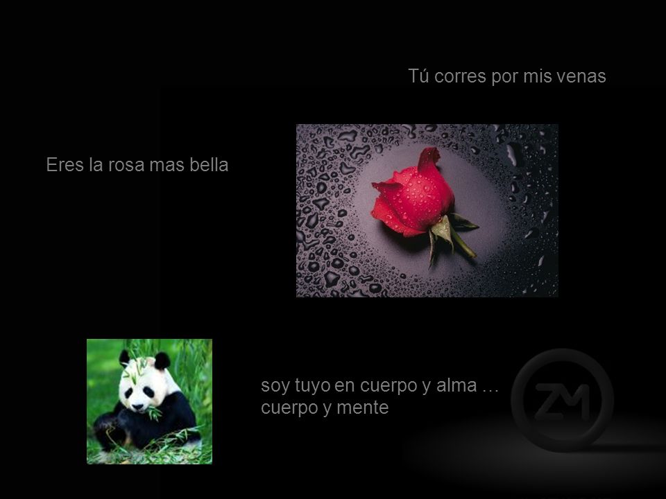 Tú corres por mis venas Eres la rosa mas bella soy tuyo en cuerpo y alma … cuerpo y mente
