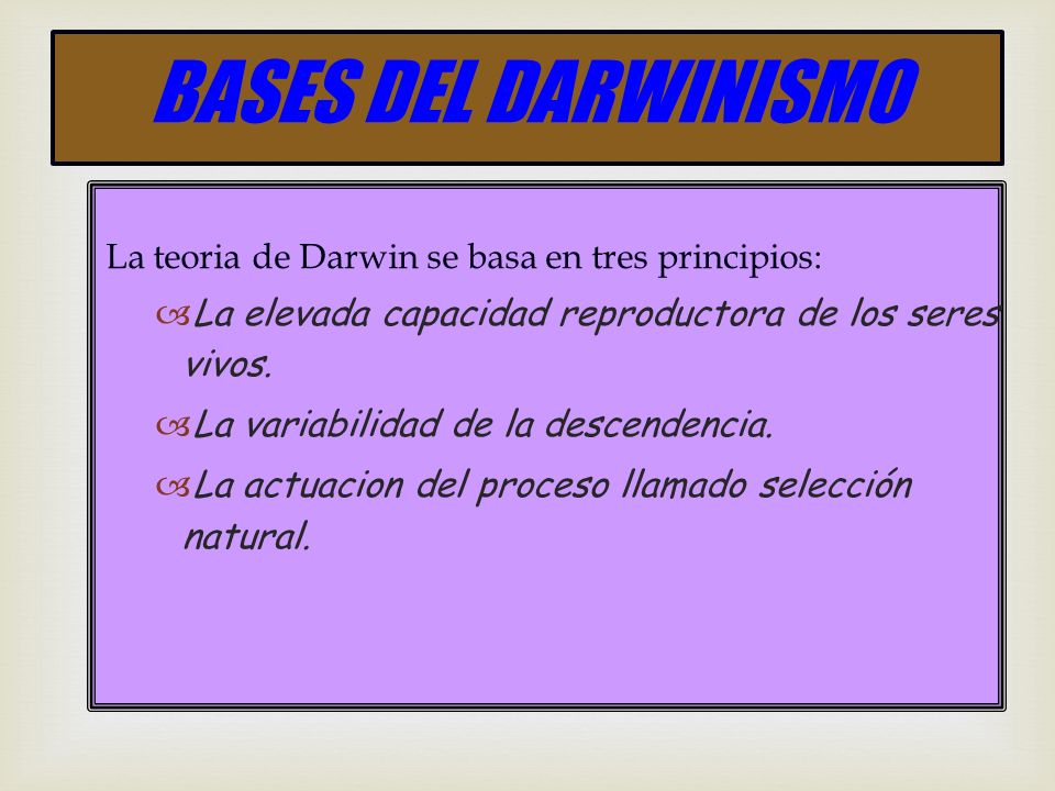 BASES DEL DARWINISMO La teoria de Darwin se basa en tres principios: La elevada capacidad reproductora de los seres vivos.