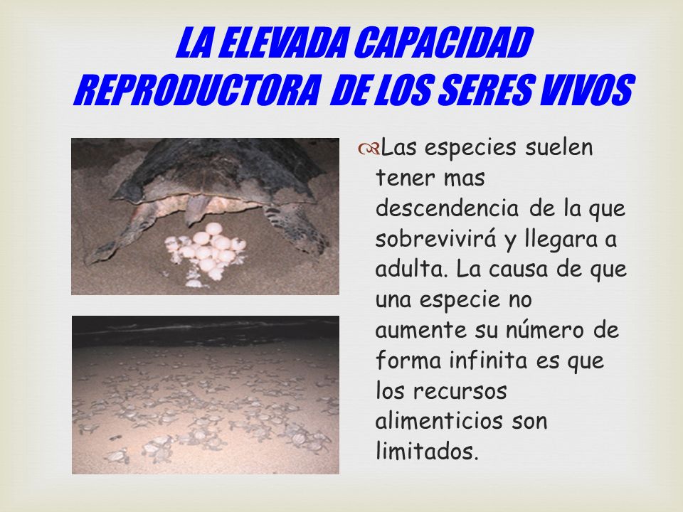 LA ELEVADA CAPACIDAD REPRODUCTORA DE LOS SERES VIVOS