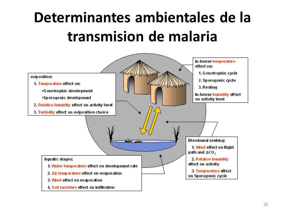Determinantes ambientales de la transmision de malaria