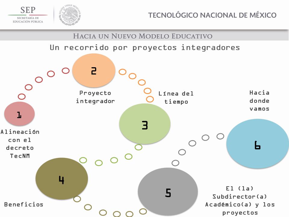 Un recorrido por proyectos integradores