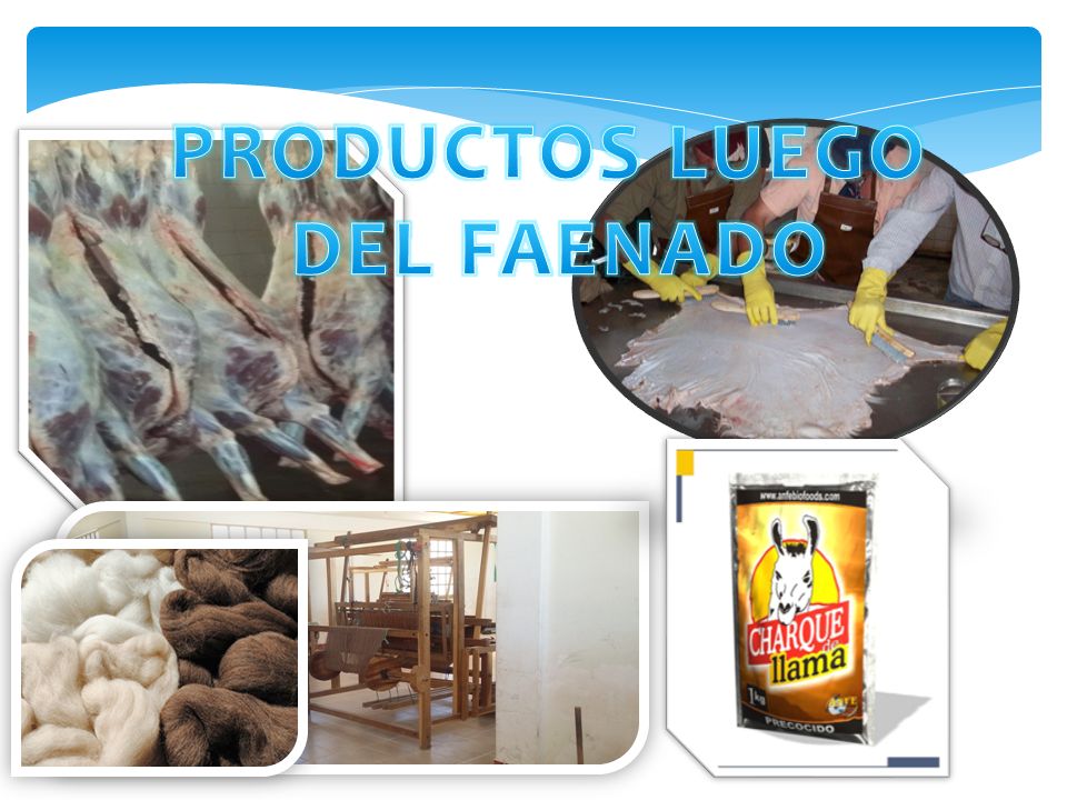 PRODUCTOS LUEGO DEL FAENADO