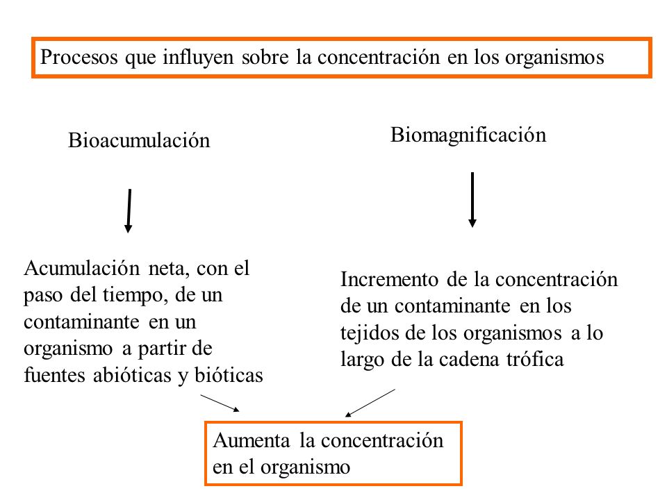 Procesos que influyen sobre la concentración en los organismos
