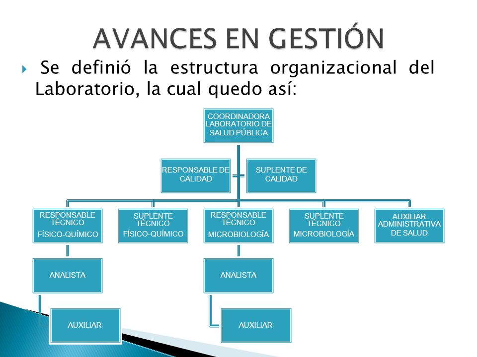 AVANCES EN GESTIÓN Se definió la estructura organizacional del Laboratorio, la cual quedo así: COORDINADORA LABORATORIO DE SALUD PÚBLICA.