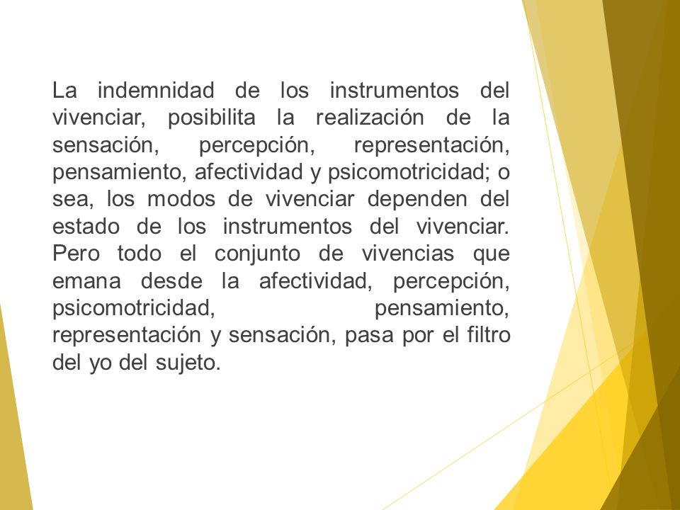 La indemnidad de los instrumentos del vivenciar, posibilita la realización de la sensación, percepción, representación, pensamiento, afectividad y psicomotricidad; o sea, los modos de vivenciar dependen del estado de los instrumentos del vivenciar.