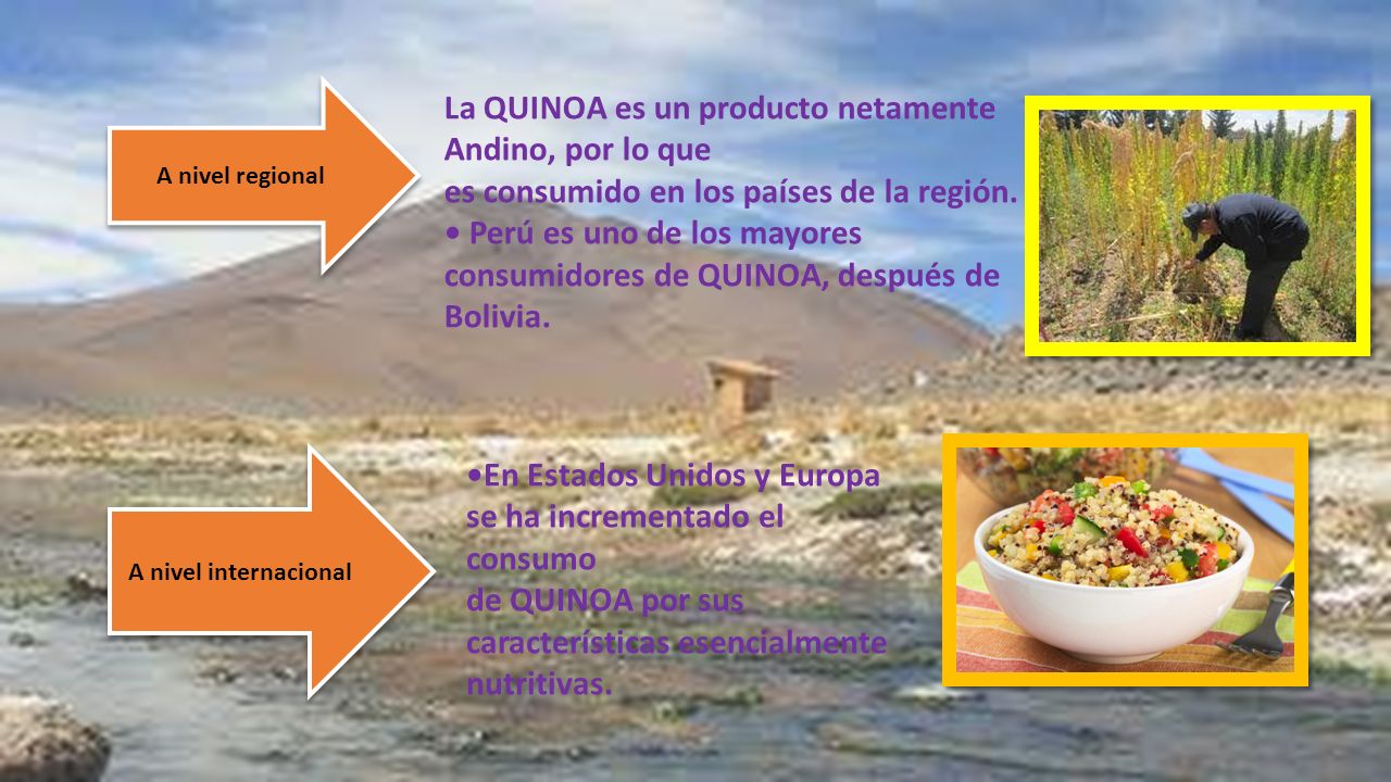 La QUINOA es un producto netamente Andino, por lo que