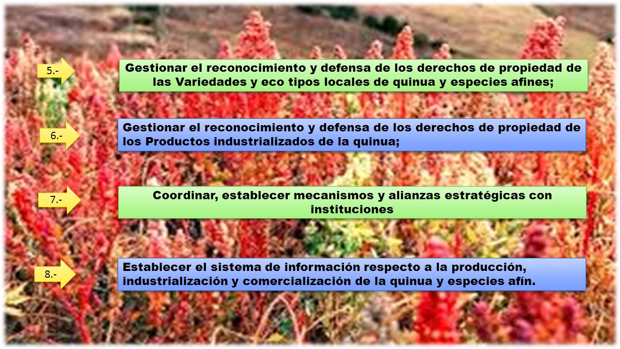 5.- Gestionar el reconocimiento y defensa de los derechos de propiedad de las Variedades y eco tipos locales de quinua y especies afines;