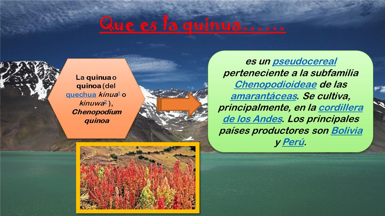 La quinua o quinoa (del quechua kínua1 o kinuwa2 ), Chenopodium quinoa