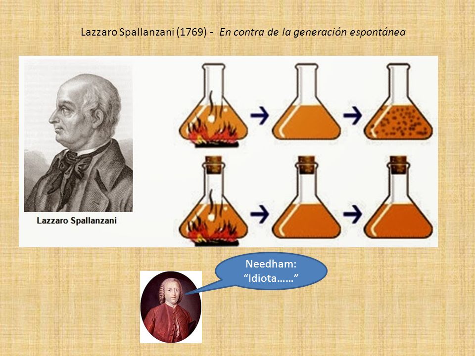 Lazzaro Spallanzani (1769) - En contra de la generación espontánea