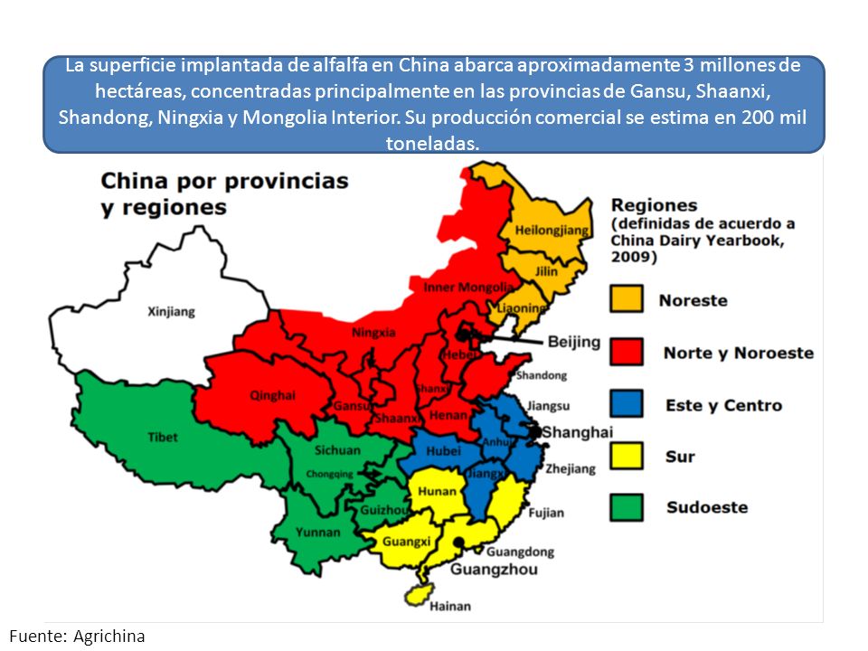 La superficie implantada de alfalfa en China abarca aproximadamente 3 millones de hectáreas, concentradas principalmente en las provincias de Gansu, Shaanxi, Shandong, Ningxia y Mongolia Interior. Su producción comercial se estima en 200 mil toneladas.