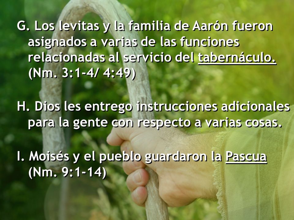 G. Los levitas y la familia de Aarón fueron asignados a varias de las funciones relacionadas al servicio del tabernáculo. (Nm. 3:1-4/ 4:49)