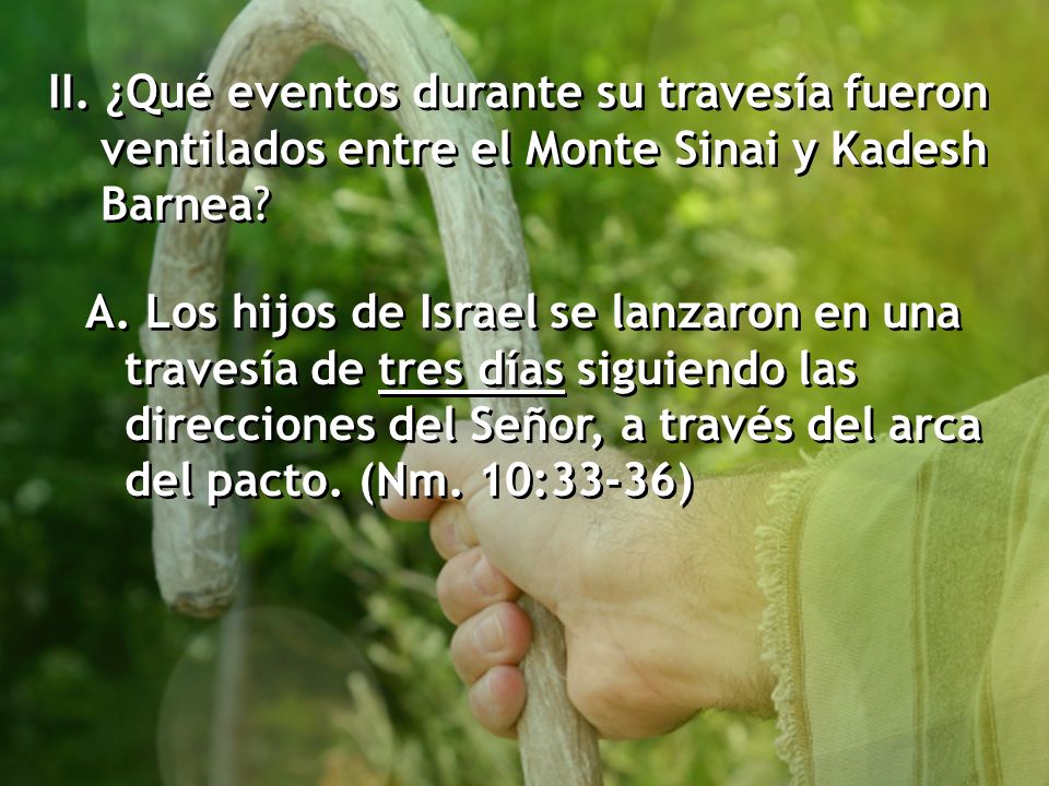 II. ¿Qué eventos durante su travesía fueron ventilados entre el Monte Sinai y Kadesh Barnea