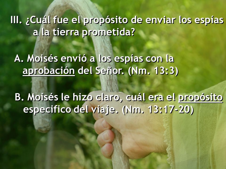 III. ¿Cuál fue el propósito de enviar los espías a la tierra prometida