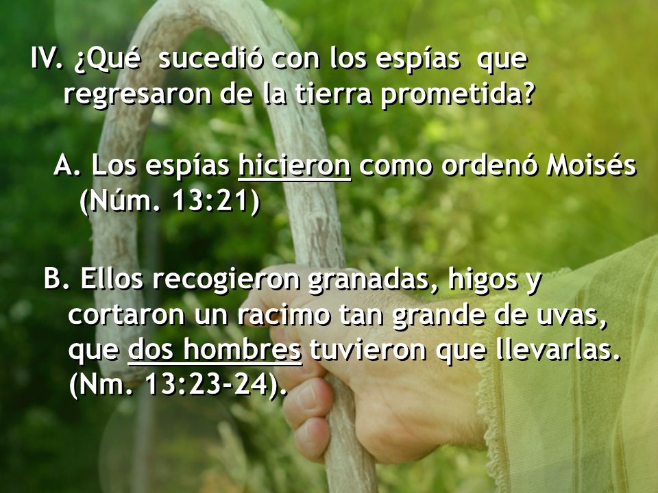 IV. ¿Qué sucedió con los espías que regresaron de la tierra prometida