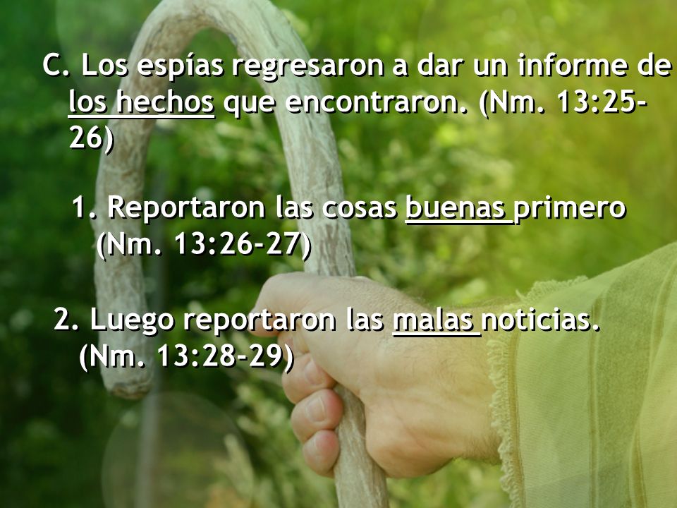 C. Los espías regresaron a dar un informe de los hechos que encontraron. (Nm. 13:25-26)