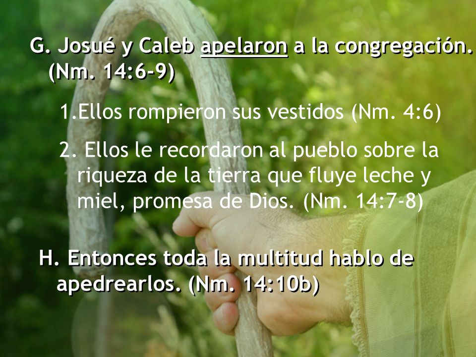 G. Josué y Caleb apelaron a la congregación. (Nm. 14:6-9)