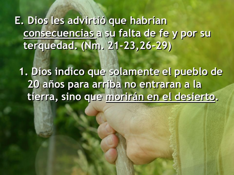 E. Dios les advirtió que habrían consecuencias a su falta de fe y por su terquedad. (Nm ,26-29)