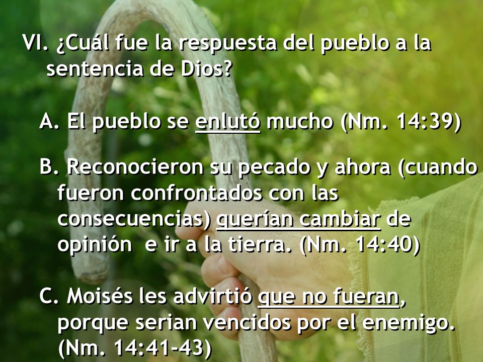 VI. ¿Cuál fue la respuesta del pueblo a la sentencia de Dios